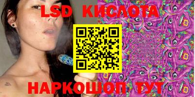 тгк Новодвинск