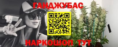 тгк Новодвинск