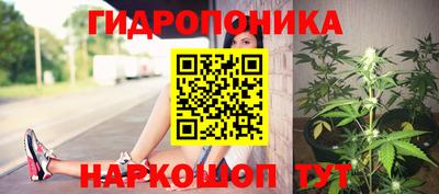 тгк Новодвинск