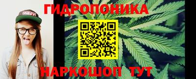 ПСИЛОЦИБИНОВЫЕ ГРИБЫ Новокубанск