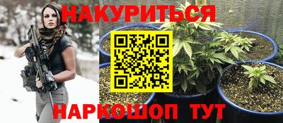 тгк Новодвинск
