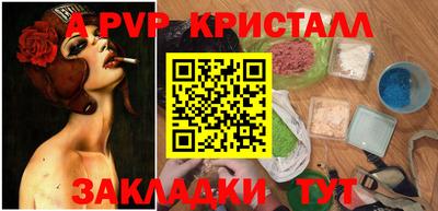 тгк Новодвинск