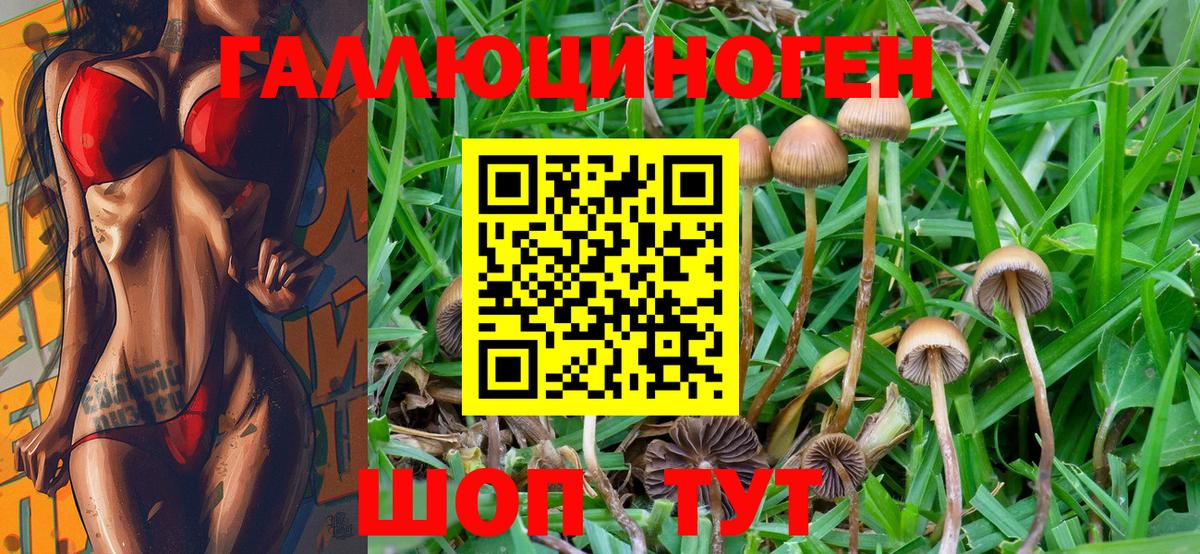 Белореченск  Галлюциногенные грибы Psilocybe  Галлюциногенные грибы MAGIC MUSHROOMS  купить закладку  Вход с VPN 